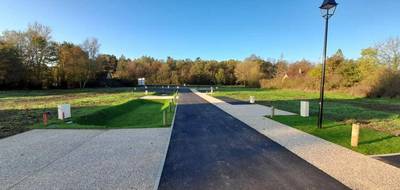 Programme terrain + maison à Gournay-en-Bray en Seine-Maritime (76) de 99 m² à vendre au prix de 216000€ - 3