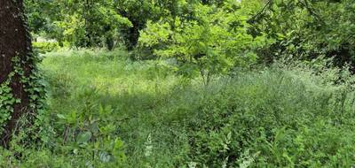 Programme terrain + maison à Saint-Yrieix-sur-Charente en Charente (16) de 79 m² à vendre au prix de 187573€ - 4