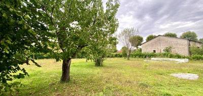 Programme terrain + maison à Lisle-sur-Tarn en Tarn (81) de 117 m² à vendre au prix de 279000€ - 4