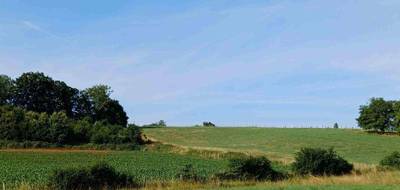 Terrain seul à Prévelles en Sarthe (72) de 900 m² à vendre au prix de 13500€ - 4
