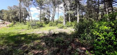 Terrain seul à Trans-en-Provence en Var (83) de 916 m² à vendre au prix de 193000€ - 2