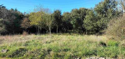 Programme terrain + maison à Dolus-d'Oléron en Charente-Maritime (17) de 60 m² à vendre au prix de 203350€ - 3