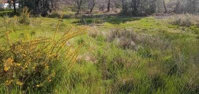 Terrain seul à Parentis-en-Born en Landes (40) de 260 m² à vendre au prix de 87000€ - 4