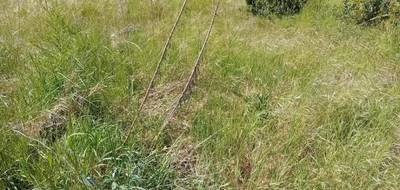 Terrain seul à Andernos-les-Bains en Gironde (33) de 465 m² à vendre au prix de 265000€ - 2