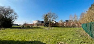 Programme terrain + maison à Wambrechies en Nord (59) de 150 m² à vendre au prix de 604000€ - 3