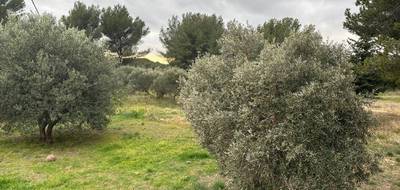 Terrain seul à Saint-Chamas en Bouches-du-Rhône (13) de 512 m² à vendre au prix de 261000€ - 2