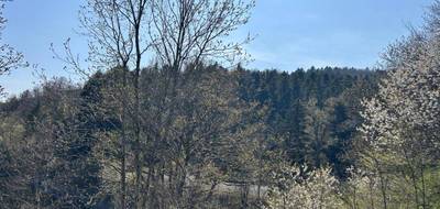Programme terrain + maison à Bourbach-le-Haut en Haut-Rhin (68) de 100 m² à vendre au prix de 401856€ - 4