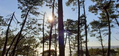 Terrain seul à Lugos en Gironde (33) de 1052 m² à vendre au prix de 110000€ - 1
