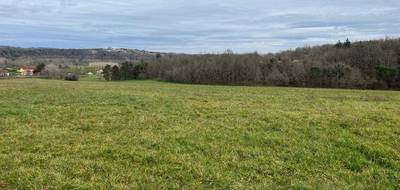 Terrain seul à Le Buisson-de-Cadouin en Dordogne (24) de 1000 m² à vendre au prix de 25000€ - 1