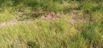 Terrain seul à Biscarrosse en Landes (40) de 912 m² à vendre au prix de 170000€ - 4