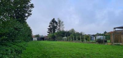 Programme terrain + maison à Courcelles-le-Comte en Pas-de-Calais (62) de 107 m² à vendre au prix de 233960€ - 4