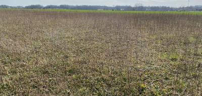 Terrain seul à Archingeay en Charente-Maritime (17) de 543 m² à vendre au prix de 44725€ - 1