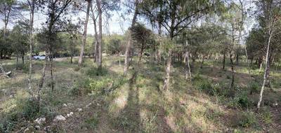 Terrain seul à Le Thoronet en Var (83) de 500 m² à vendre au prix de 135000€ - 3