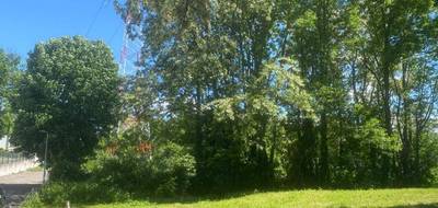 Terrain seul à Brunstatt-Didenheim en Haut-Rhin (68) de 1135 m² à vendre au prix de 280000€ - 4