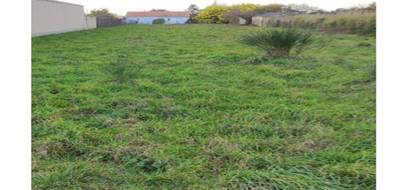 Terrain seul à La Plaine-sur-Mer en Loire-Atlantique (44) de 353 m² à vendre au prix de 125000€ - 3