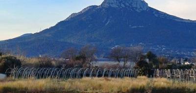 Terrain seul à La Crau en Var (83) de 642 m² à vendre au prix de 290000€ - 3
