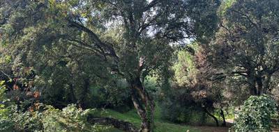 Terrain seul à Sainte-Maxime en Var (83) de 1500 m² à vendre au prix de 550000€ - 2