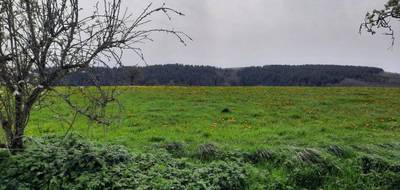 Terrain seul à Roannes-Saint-Mary en Cantal (15) de 1500 m² à vendre au prix de 42000€ - 2