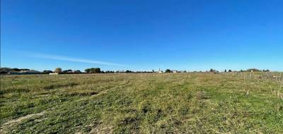 Programme terrain + maison à Villevieille en Gard (30) de 95 m² à vendre au prix de 349000€ - 4