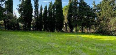 Terrain seul à Grillon en Vaucluse (84) de 433 m² à vendre au prix de 79000€ - 1
