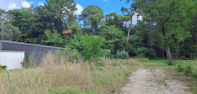 Programme terrain + maison à Saint-Palais-sur-Mer en Charente-Maritime (17) de 75 m² à vendre au prix de 408616€ - 3