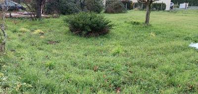 Terrain seul à Ambarès-et-Lagrave en Gironde (33) de 621 m² à vendre au prix de 179000€ - 1
