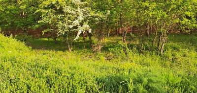 Terrain seul à Gréasque en Bouches-du-Rhône (13) de 580 m² à vendre au prix de 295000€ - 4