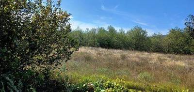Programme terrain + maison à Palau-del-Vidre en Pyrénées-Orientales (66) de 90 m² à vendre au prix de 329000€ - 3