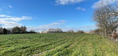 Terrain seul à Pomarez en Landes (40) de 1010 m² à vendre au prix de 60500€ - 1