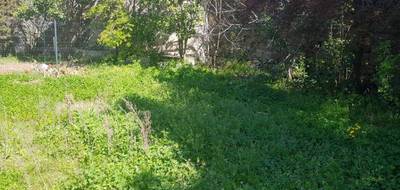 Terrain seul à Le Cannet en Alpes-Maritimes (06) de 260 m² à vendre au prix de 249000€ - 3