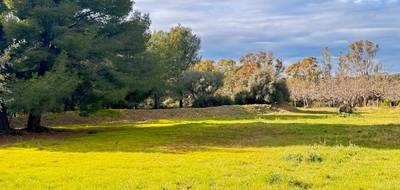 Terrain seul à La Cadière-d'Azur en Var (83) de 2227 m² à vendre au prix de 634000€ - 3
