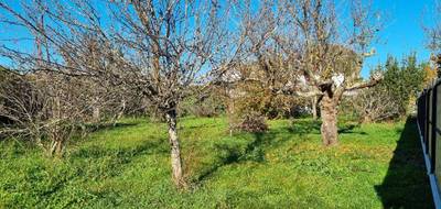 Programme terrain + maison à Cugnaux en Haute-Garonne (31) de 145 m² à vendre au prix de 470000€ - 3