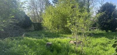 Terrain seul à Viarmes en Val-d'Oise (95) de 425 m² à vendre au prix de 149800€ - 1
