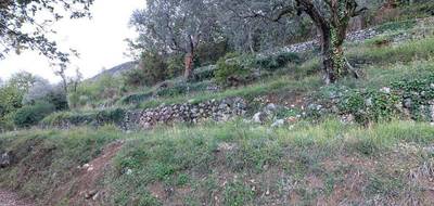 Terrain seul à Châteauneuf-Villevieille en Alpes-Maritimes (06) de 1900 m² à vendre au prix de 160000€ - 2