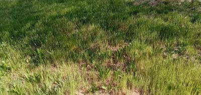 Terrain seul à Audenge en Gironde (33) de 960 m² à vendre au prix de 250000€ - 1
