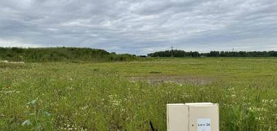 Terrain seul à Douvrin en Pas-de-Calais (62) de 384 m² à vendre au prix de 64000€ - 3