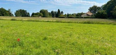 Programme terrain + maison à Couzeix en Haute-Vienne (87) de 134 m² à vendre au prix de 316648€ - 3