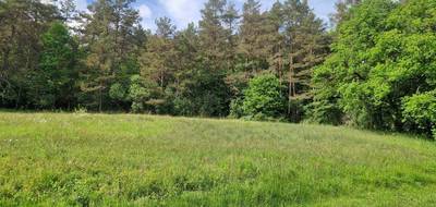 Terrain seul à Quenoche en Haute-Saône (70) de 957 m² à vendre au prix de 32500€ - 1