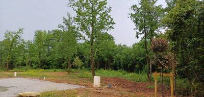 Terrain seul à Puymoyen en Charente (16) de 607 m² à vendre au prix de 84000€ - 3