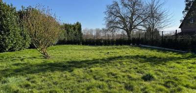 Programme terrain + maison à Hamel en Nord (59) de 115 m² à vendre au prix de 269000€ - 3
