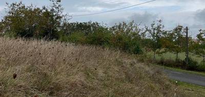 Terrain seul à Gaillac en Tarn (81) de 726 m² à vendre au prix de 55000€ - 3