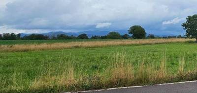 Programme terrain + maison à Schweighouse-Thann en Haut-Rhin (68) de 100 m² à vendre au prix de 369000€ - 4