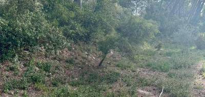 Terrain seul à Cabriès en Bouches-du-Rhône (13) de 750 m² à vendre au prix de 350000€ - 2