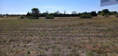 Programme terrain + maison à Marseillan en Hérault (34) de 100 m² à vendre au prix de 402000€ - 4