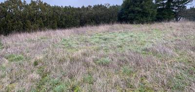 Terrain seul à Pont-l'Abbé-d'Arnoult en Charente-Maritime (17) de 300 m² à vendre au prix de 39500€ - 3