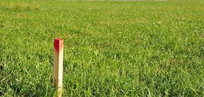 Programme terrain + maison à Joué-lès-Tours en Indre-et-Loire (37) de 85 m² à vendre au prix de 256950€ - 3