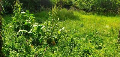 Terrain seul à Saint-Pierre-d'Aurillac en Gironde (33) de 360 m² à vendre au prix de 47000€ - 2