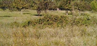 Terrain seul à Aubignan en Vaucluse (84) de 630 m² à vendre au prix de 159000€ - 4