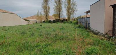Programme terrain + maison à Saint-Laurent-de-la-Prée en Charente-Maritime (17) de 145 m² à vendre au prix de 484103€ - 3