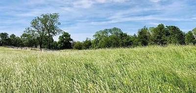 Terrain seul à Melun en Seine-et-Marne (77) de 378 m² à vendre au prix de 135000€ - 1